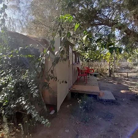 The Camp Bodrum Gümüşlük