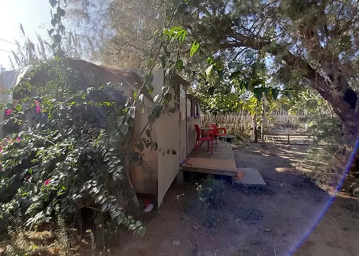 The Camp Bodrum Гюмюшлюк